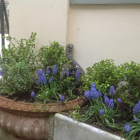 Al Giardino Delle Rose Affittacamere 3*